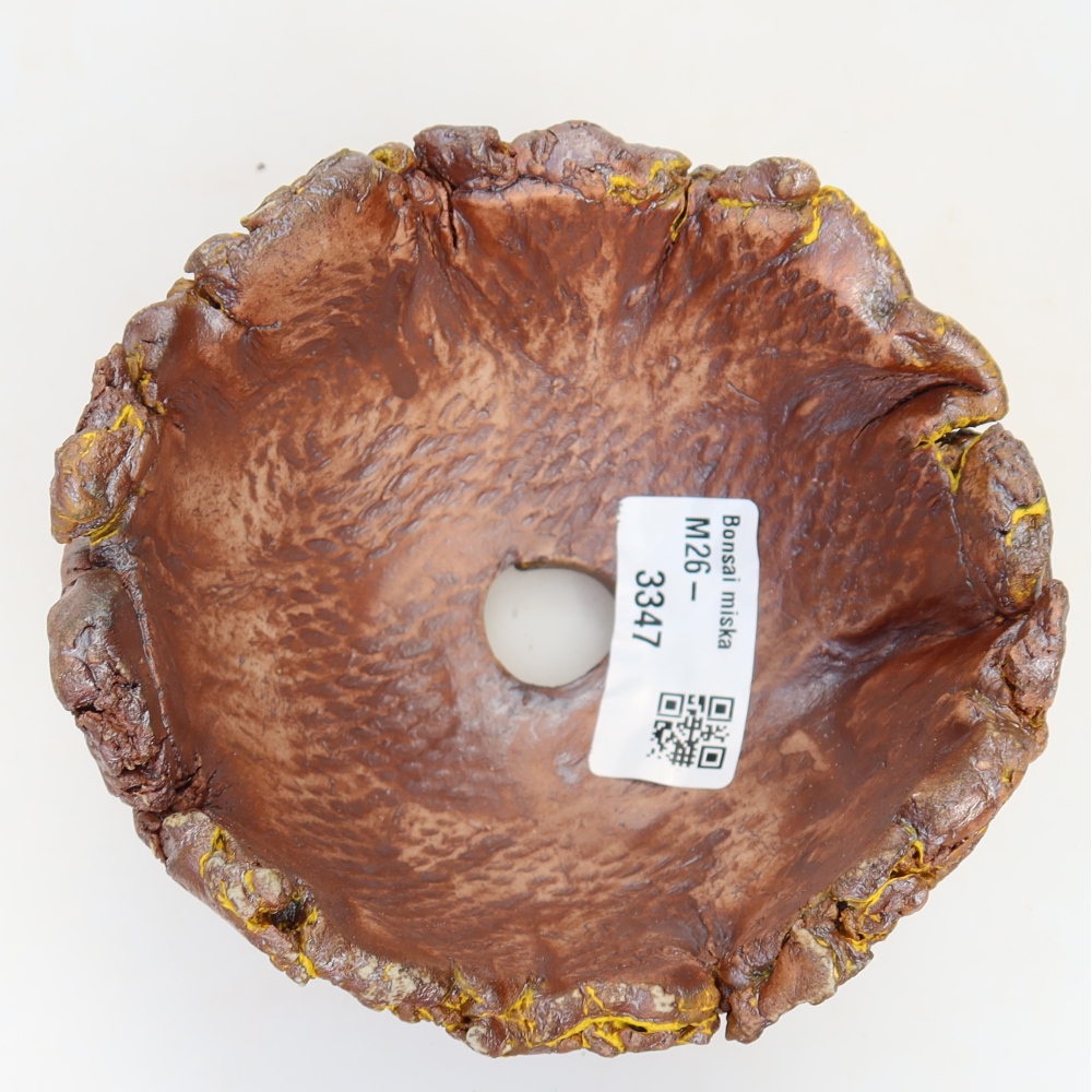 Ceramic Shell  11 x 11 x 7 cm, yellow