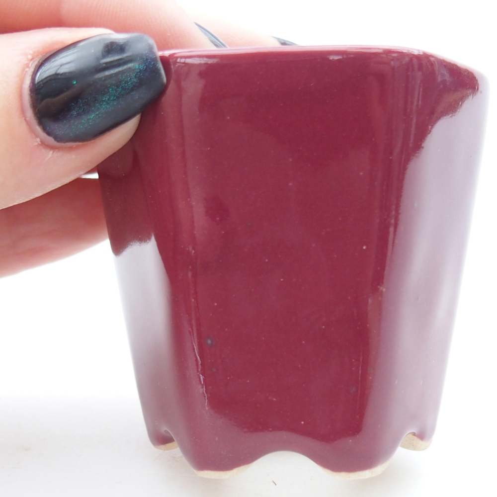 Mini bonsai bowl 5,5 x 5 x 5 cm, colour burgundy