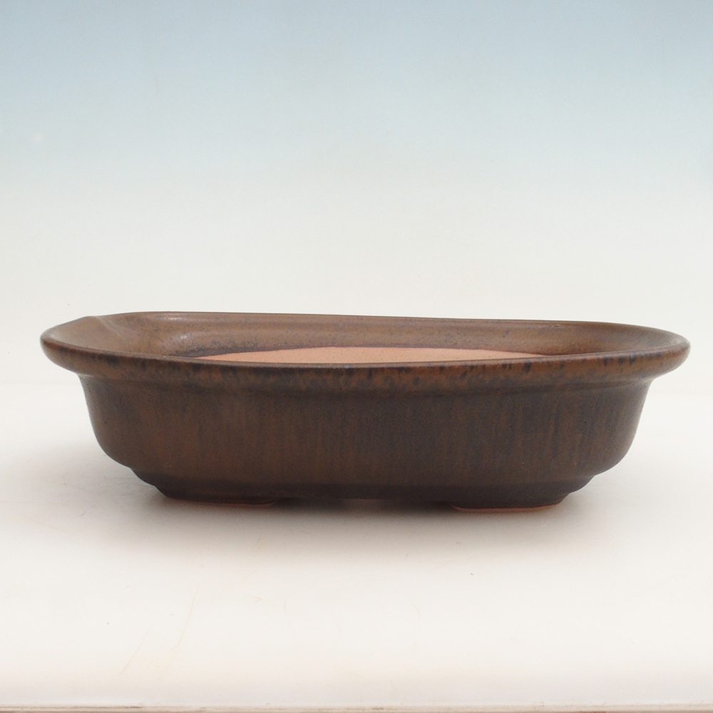 Bonsai bowl H25 - 23 x 17 x 5.5 cm. - brown