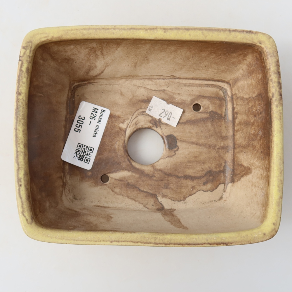 Ceramic bonsai pot, 15 x 12.5 x 5.5 cm, yellow
