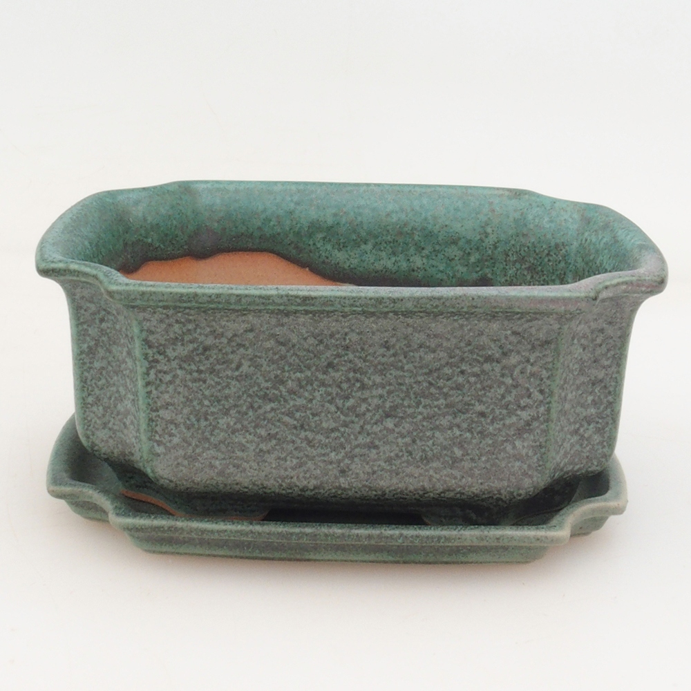 Bonsai bowl + saucer H01 - green