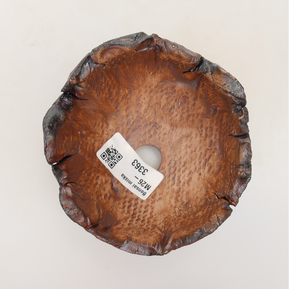 Ceramic Shell, 10.5 x 10.5 x 7 cm, brown