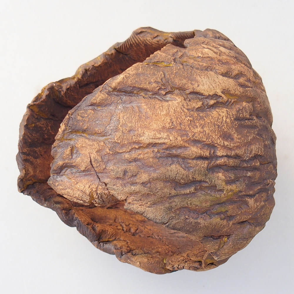 Ceramic Shell 10 x 9,5 x 10 cm , colour brown