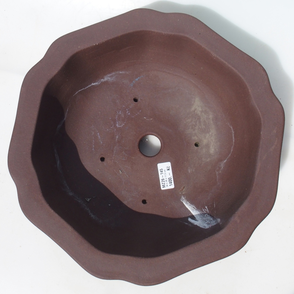 Bonsai bowl 39 x 39 x 11,5 cm birch brown