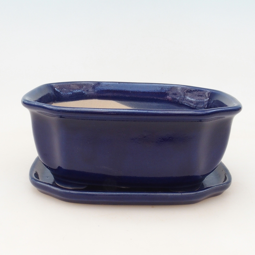 Bonsai bowl + saucer H31 - blue