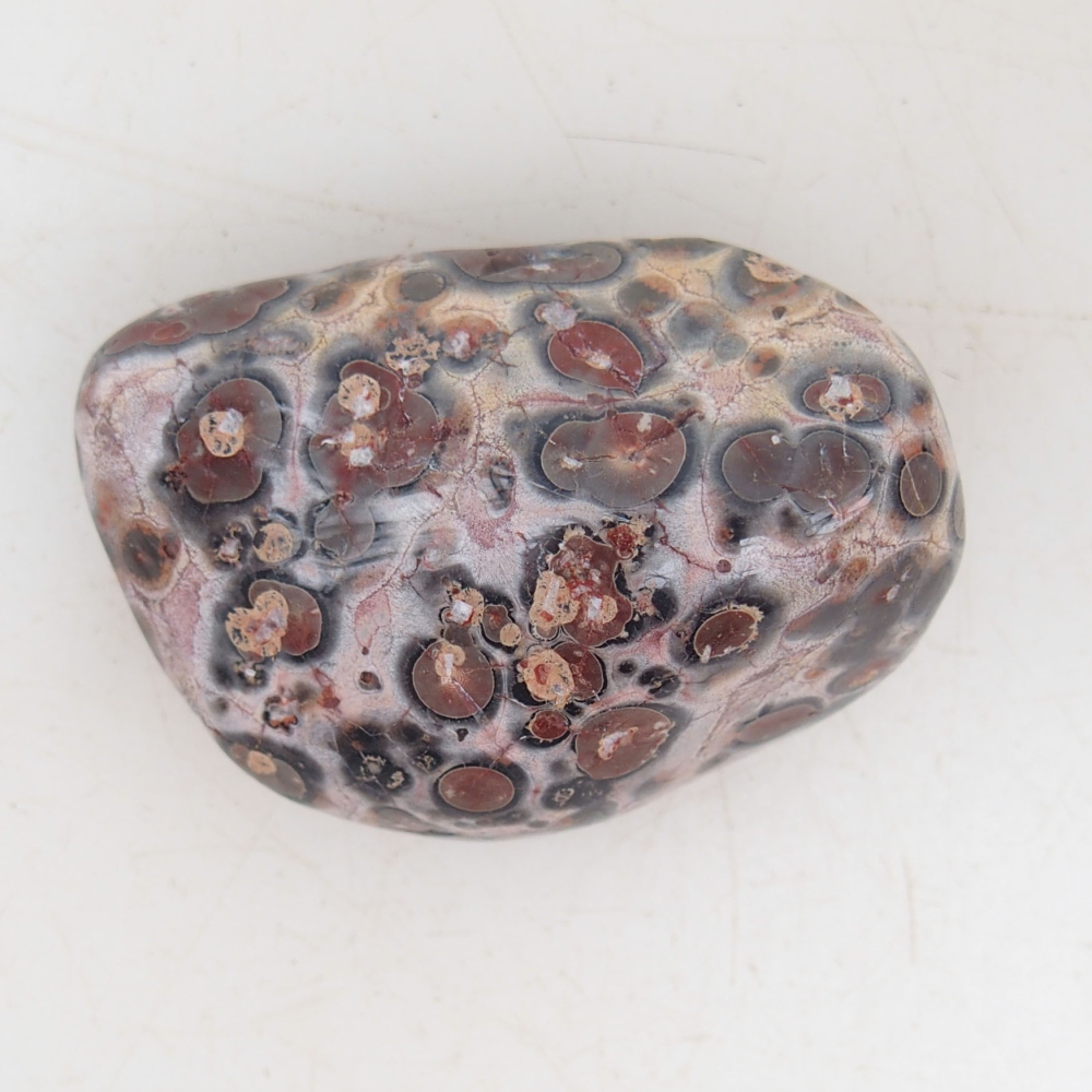 Suiseki - Stone with DAI (wooden pad)