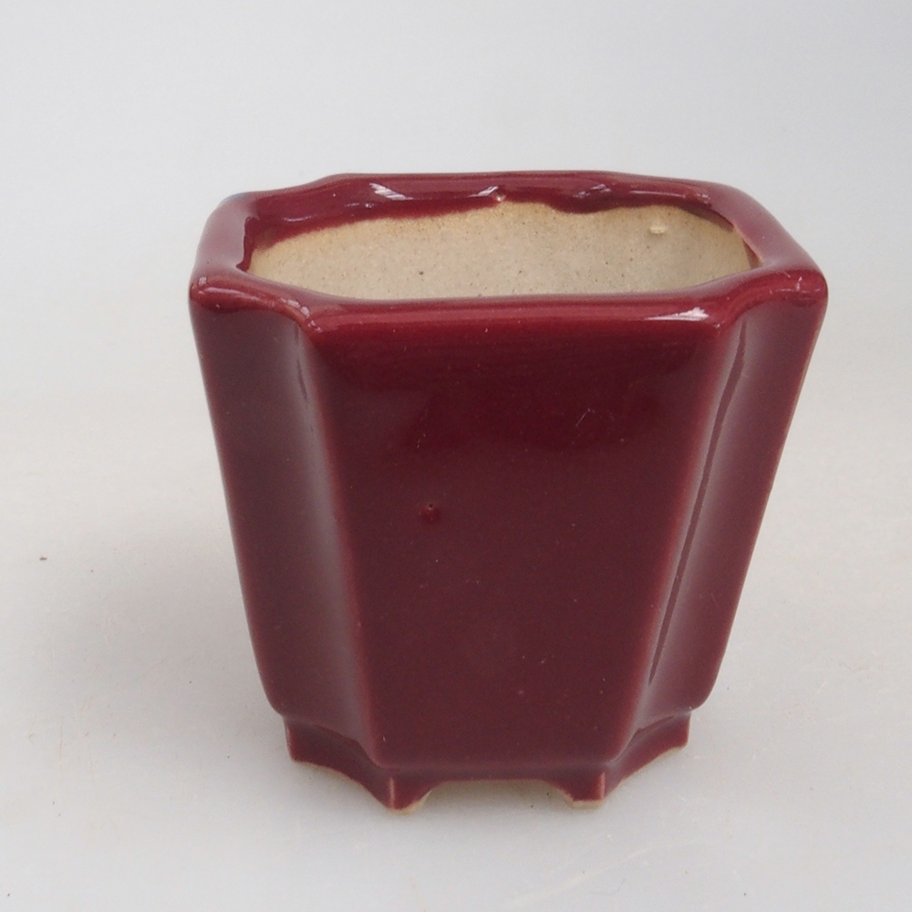 Mini bonsai bowl 4 x 4 x 4 cm, color burgundy