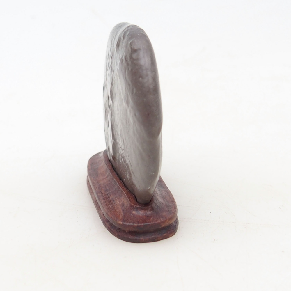 Suiseki - Stone with DAI (wooden pad)