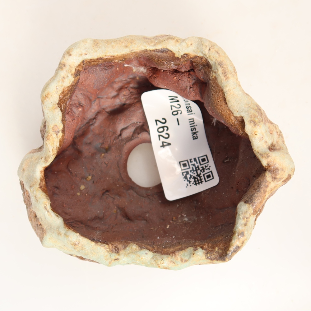 Ceramic Shell, 7.5 x 7.5 x 4.5 cm, green