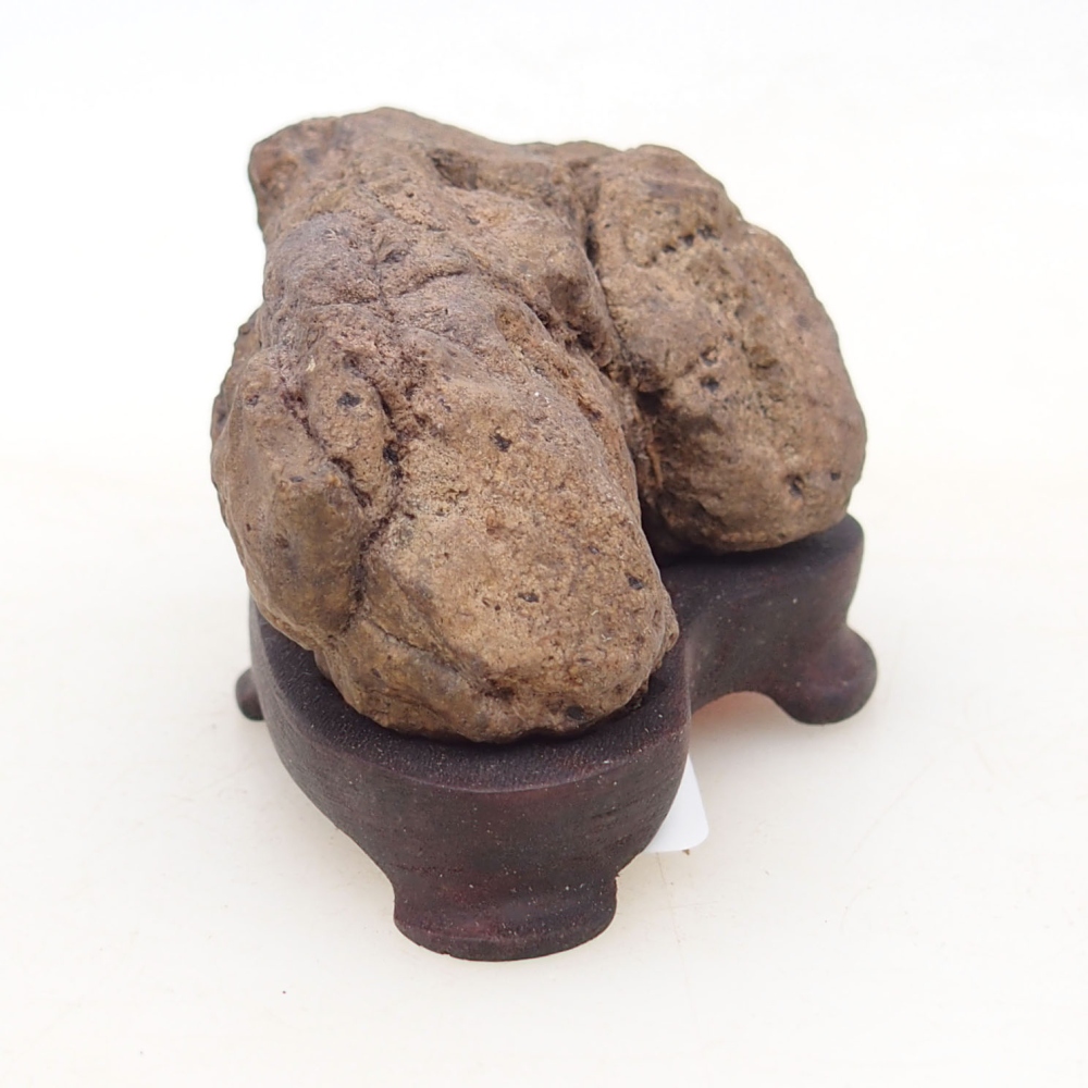 Suiseki - Stone with DAI (wooden pad)