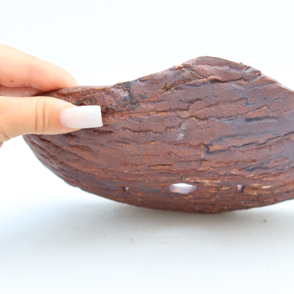 Ceramic Shell  27 x 18.5 x 5 cm, brown