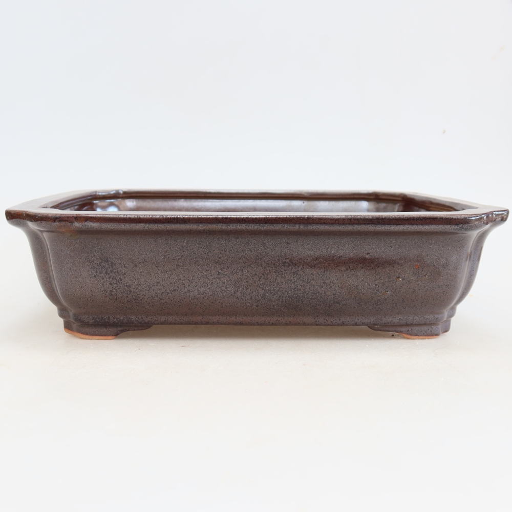 Ceramic bonsai pot, 27.5 x 21.5 x 7 cm, burgundy