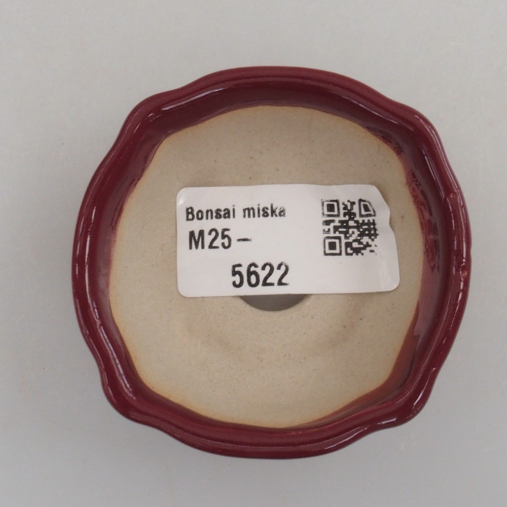 Mini bonsai bowl 6 x 6 x 2,5 cm, color burgundy