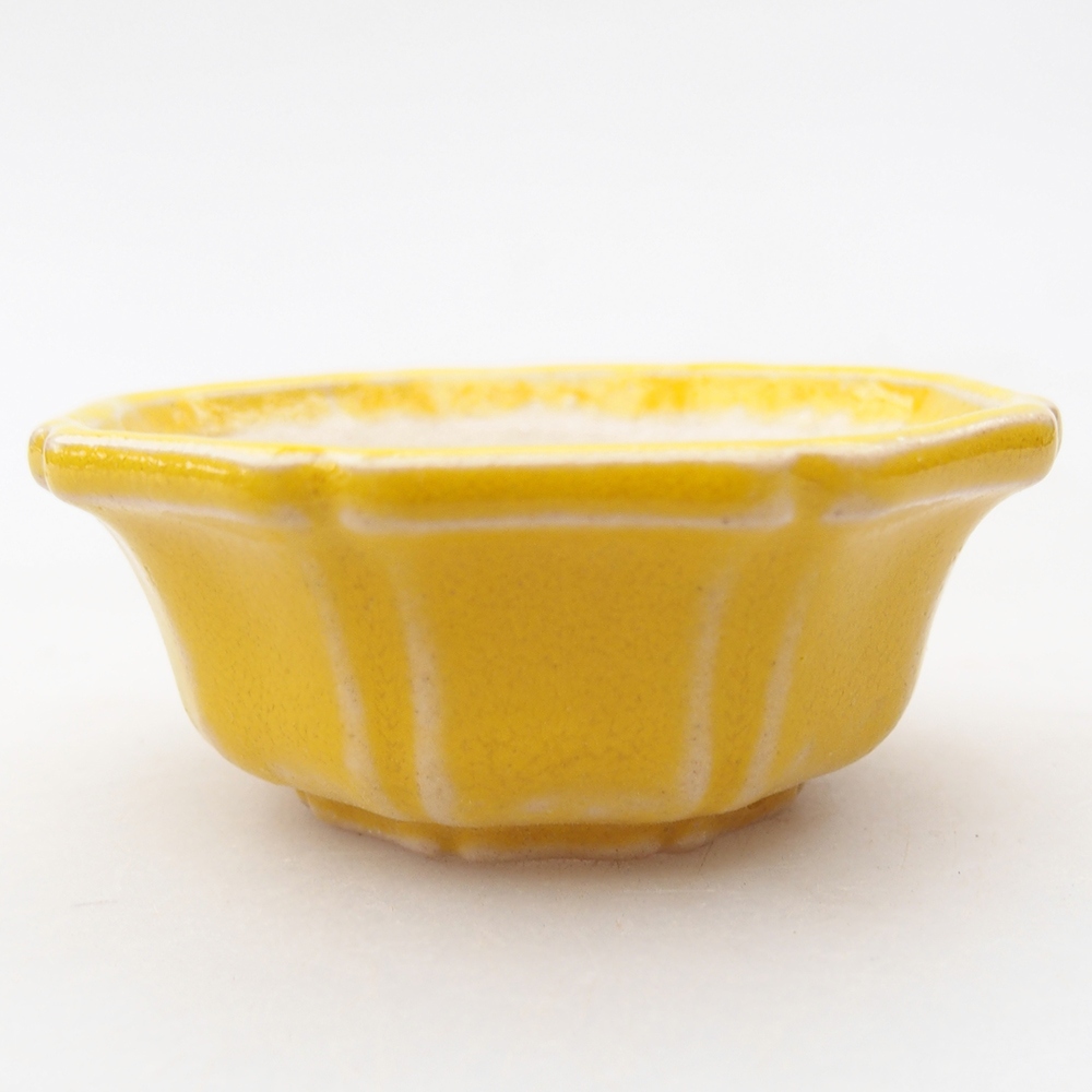 Mini bonsai bowl 6 x 6 x 2,5 cm, yellow
