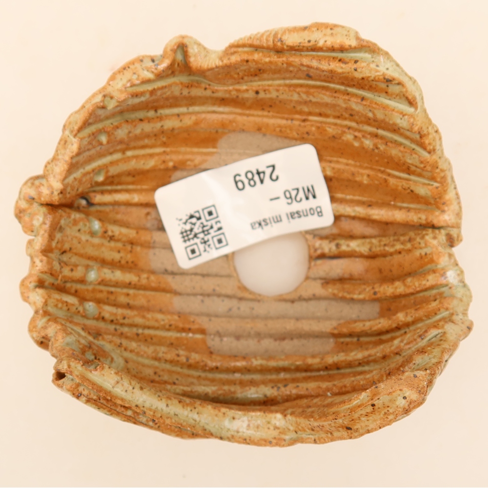 Ceramic Shell, 9 x 8.5 x 5.5 cm, beige