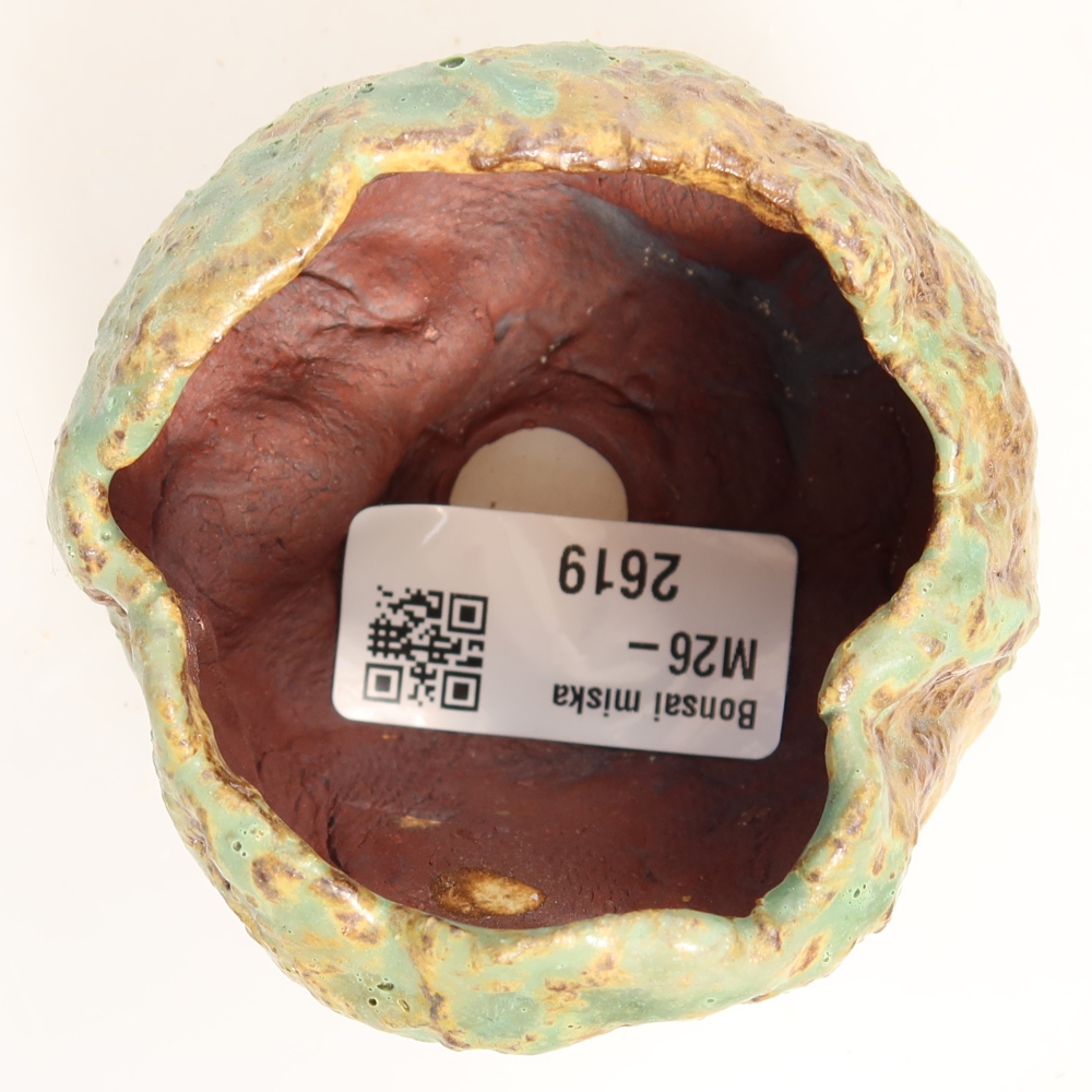 Ceramic Shell, 7 x 7 x 6 cm, green