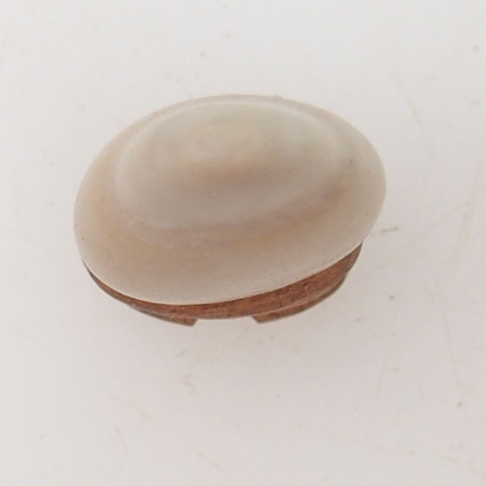 Suiseki - Stone with DAI (wooden pad)