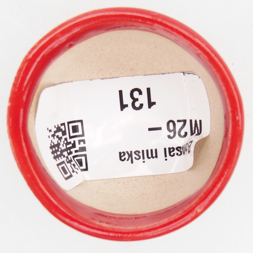 Mini bonsai bowl 4 x 4 x 2,5 cm, colour red