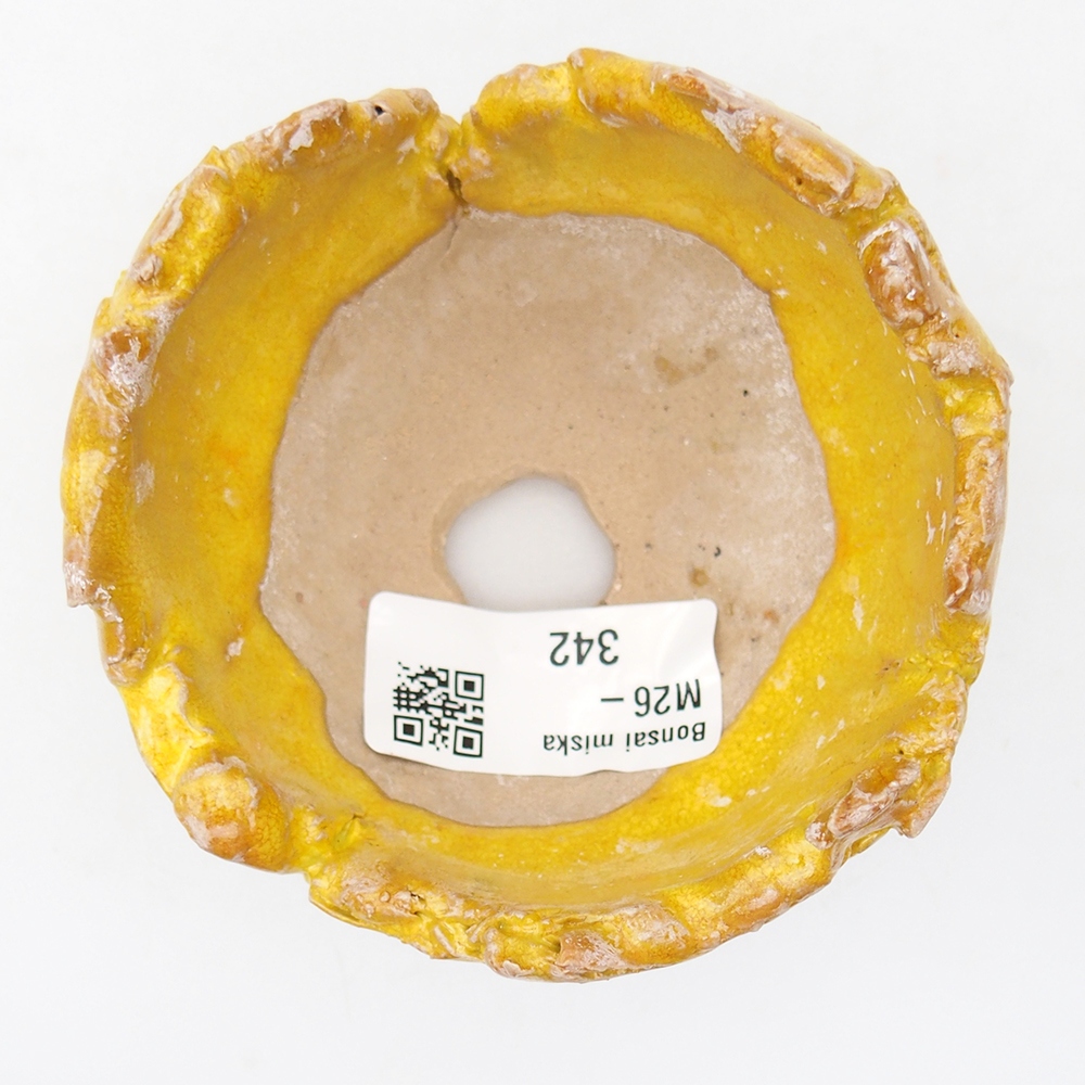 Ceramic Shell 8,5 x 8,5 x 6 cm , yellow