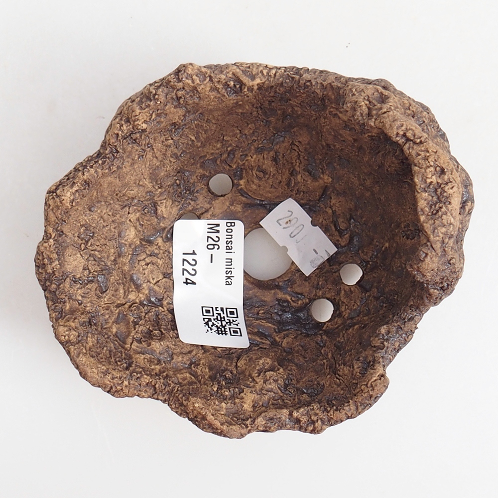 Ceramic Shell 9,5 x 9 x 8,5 cm , colour brown