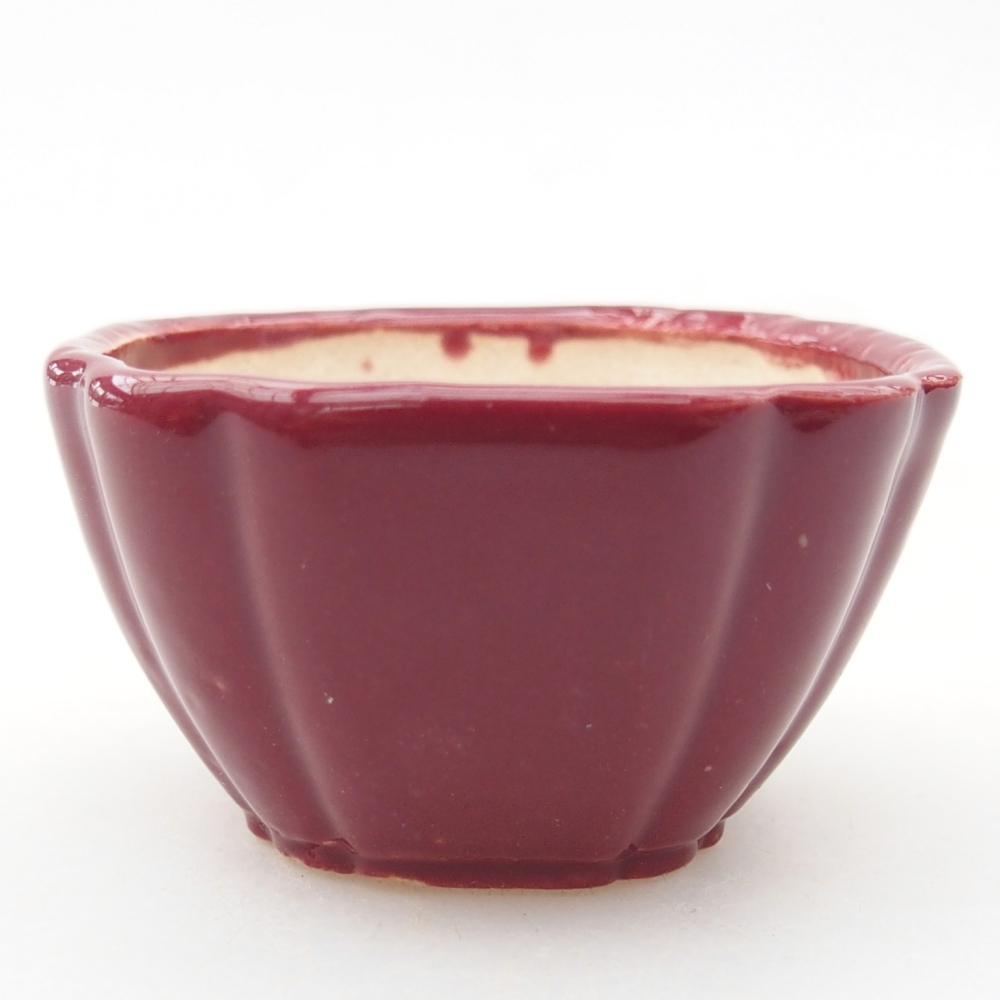 Mini bonsai bowl 4,5 x 4,5 x 2,5 cm, burgundy