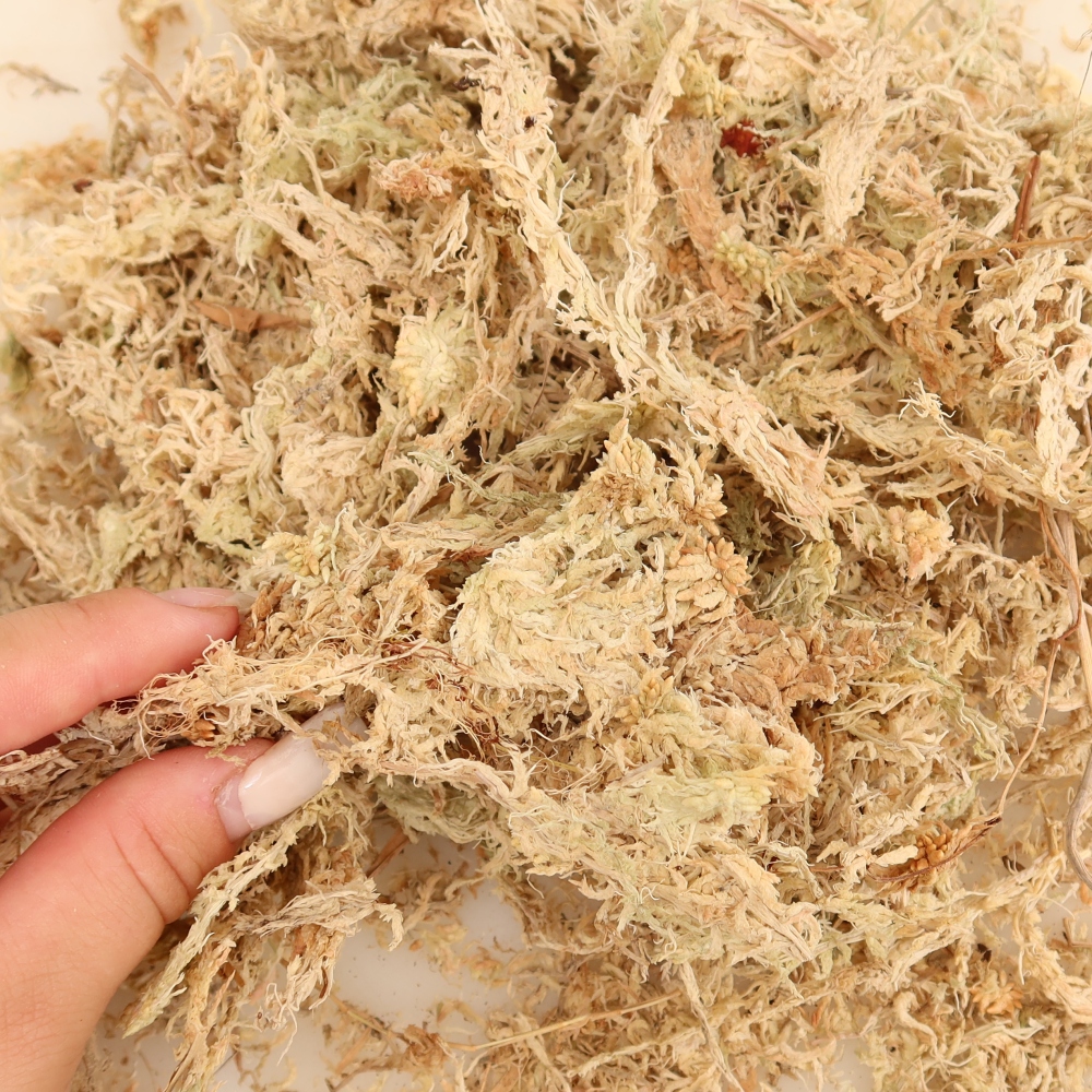 Sphagnum - peat moss, 150 g