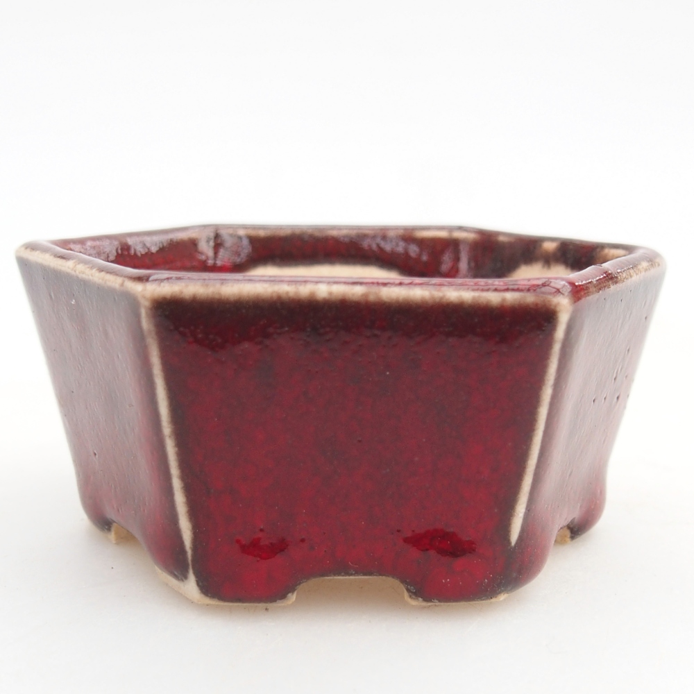 Mini bonsai bowl 6 x 5,5 x 3 cm, colour red