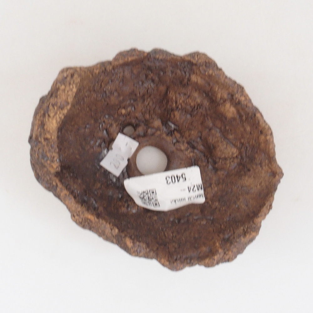 Ceramic shell 10 x 8 x 10 cm, brown color