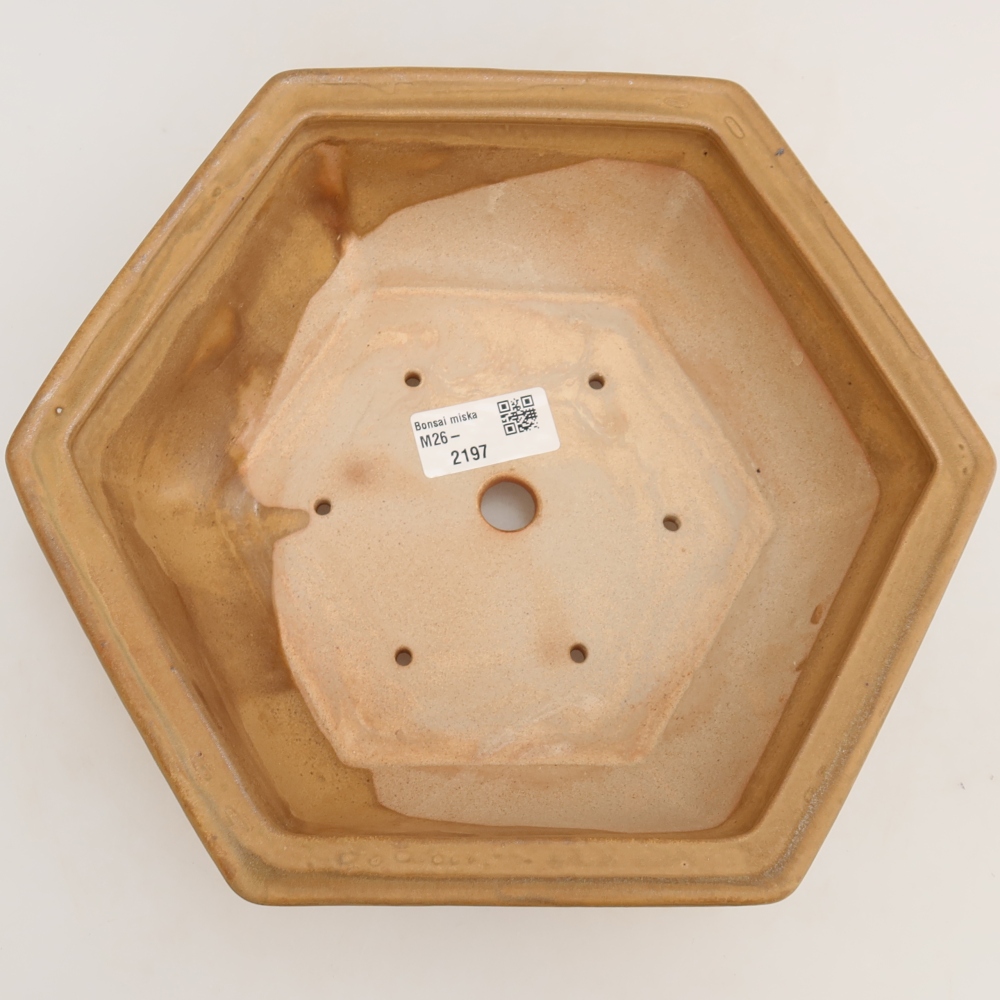 Ceramic bonsai pot, 24 x 21.5 x 7.5 cm, beige
