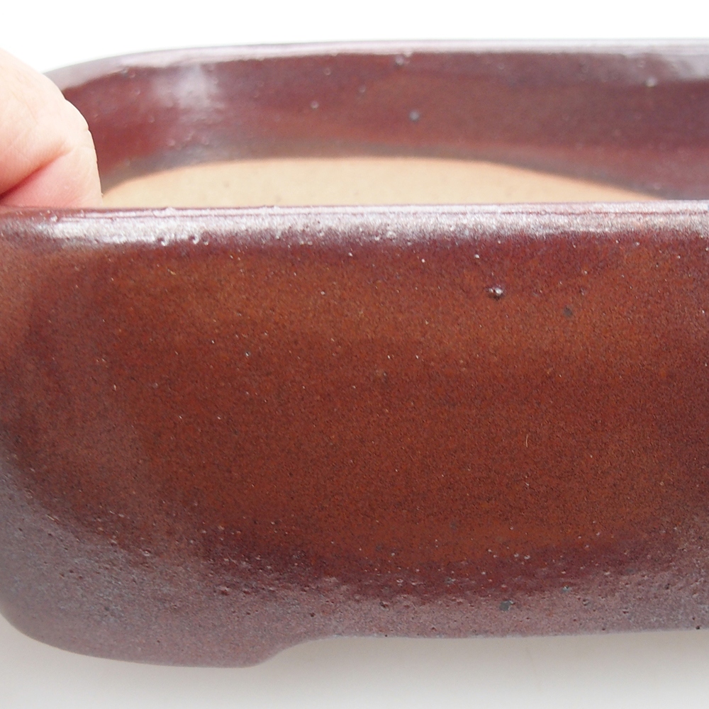 Ceramic bonsai bowl 23 x 17 x 7,5 cm, colour burgundy