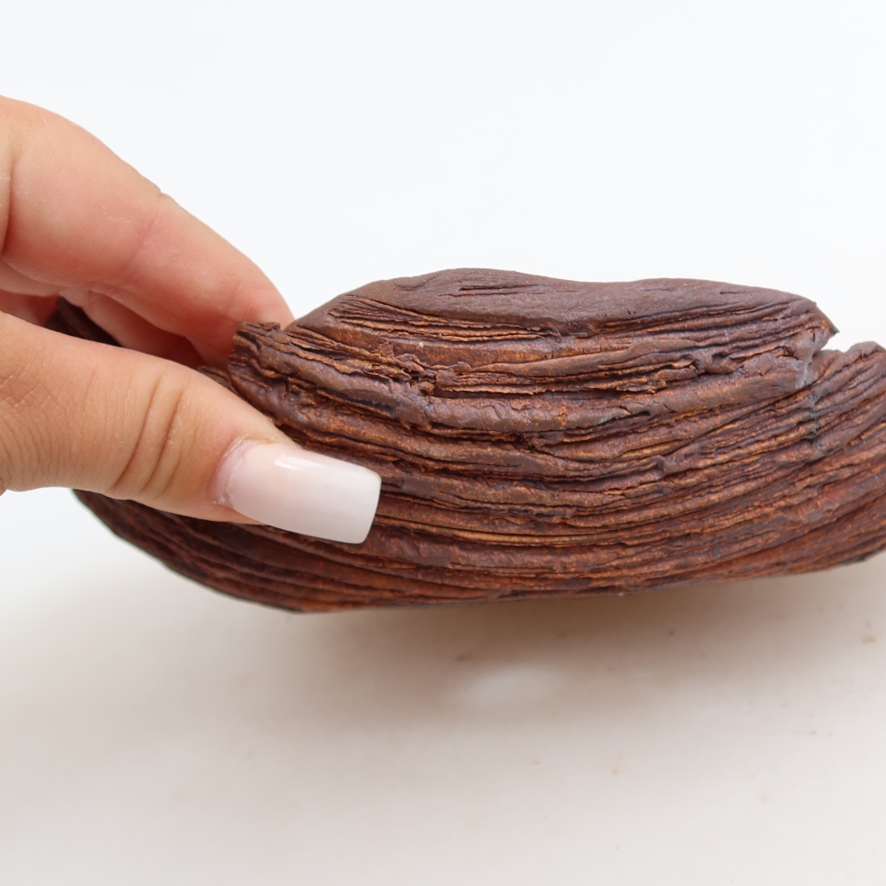 Ceramic Shell  21 x 15 x 5.5 cm, brown