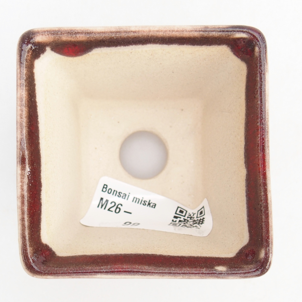 Mini bonsai bowl 6 x 6 x 5 cm, colour red