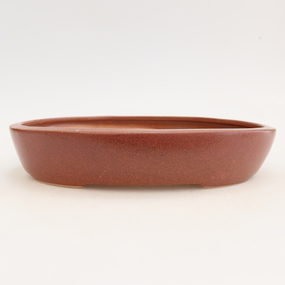 Ceramic bonsai pot, 22 x 17 x 4 cm, burgundy