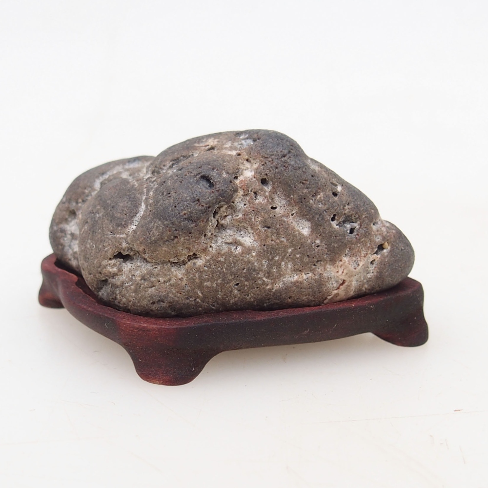 Suiseki - Stone with DAI (wooden pad)