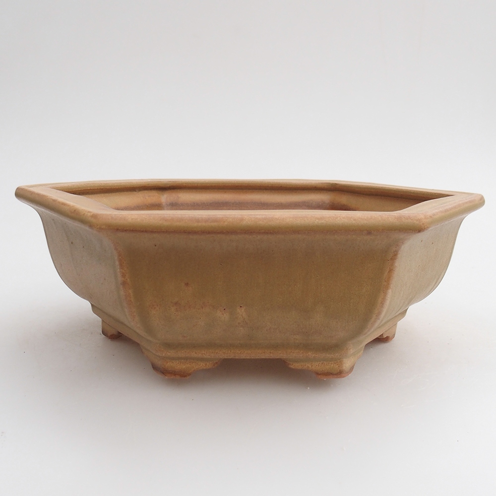 Ceramic bonsai bowl 23 x 21 x 7,5 cm, colour beige