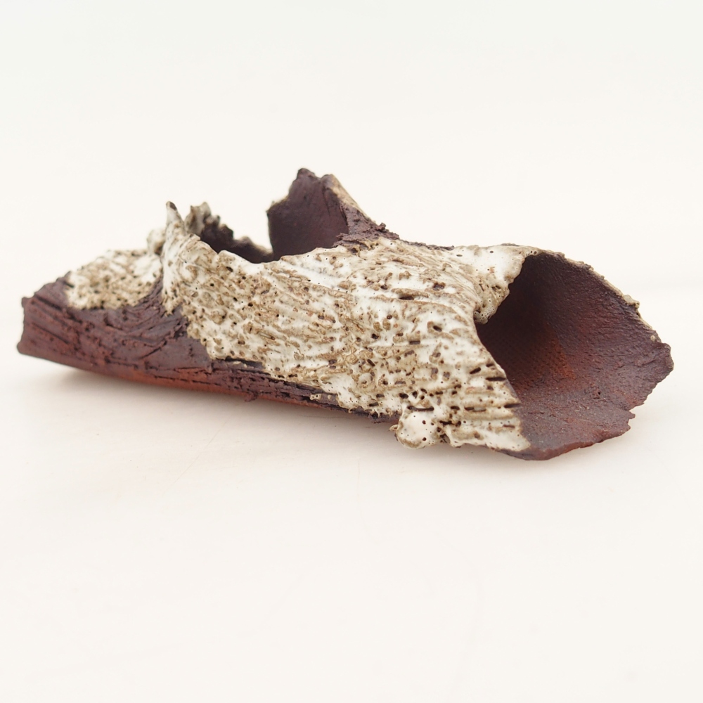 Ceramic Shell 11 x 4 x 3 cm , colour beige