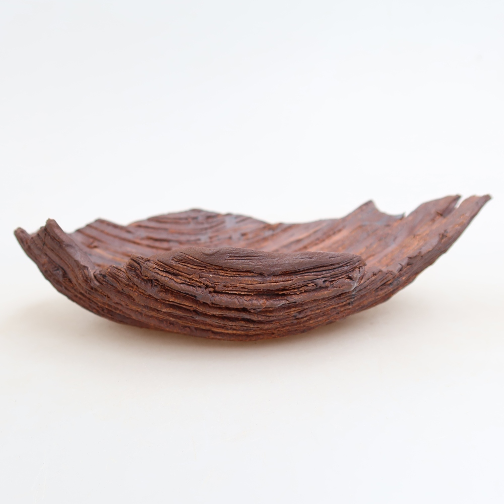 Ceramic Shell  21 x 15 x 5.5 cm, brown
