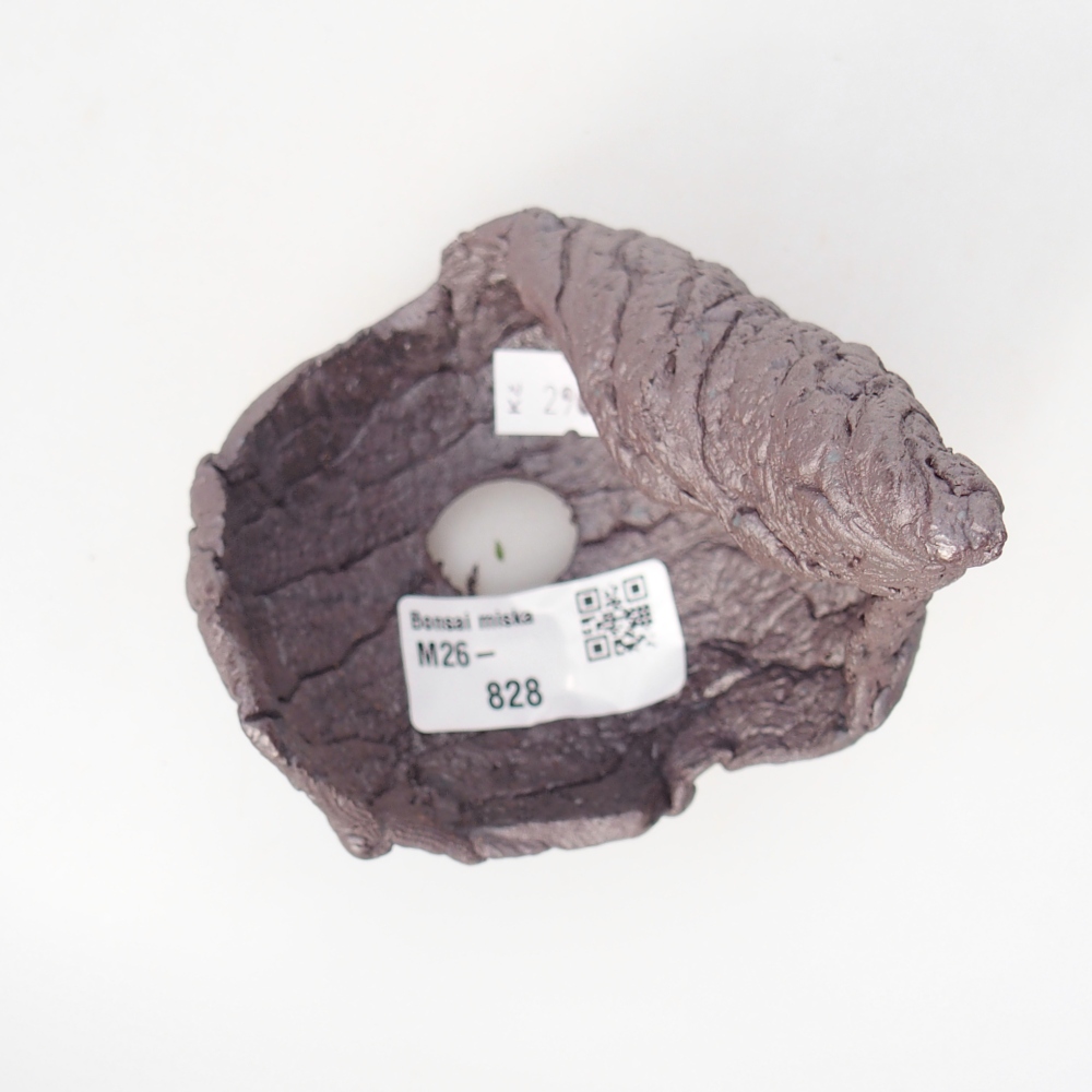 Ceramic Shell 8 x 8 x 12 cm , metallic colour