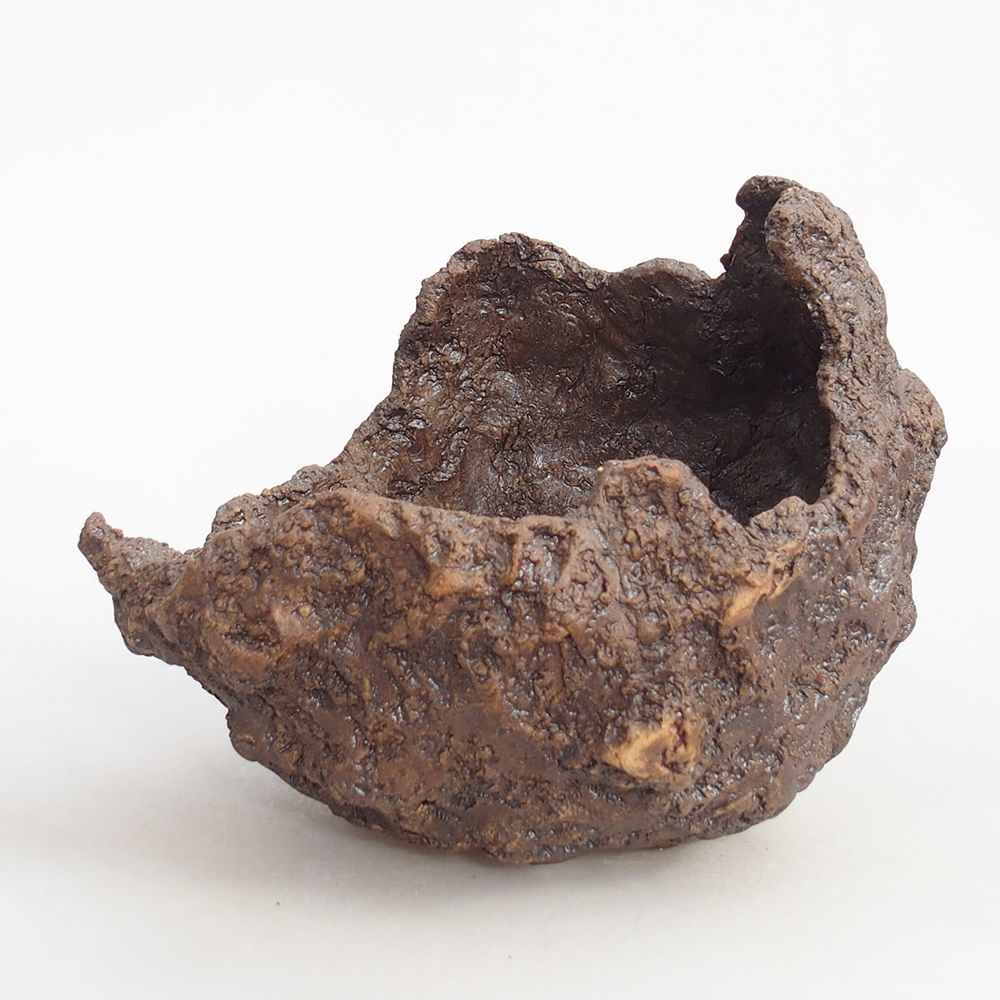 Ceramic shell 19 x 15 x 14 cm , colour brown