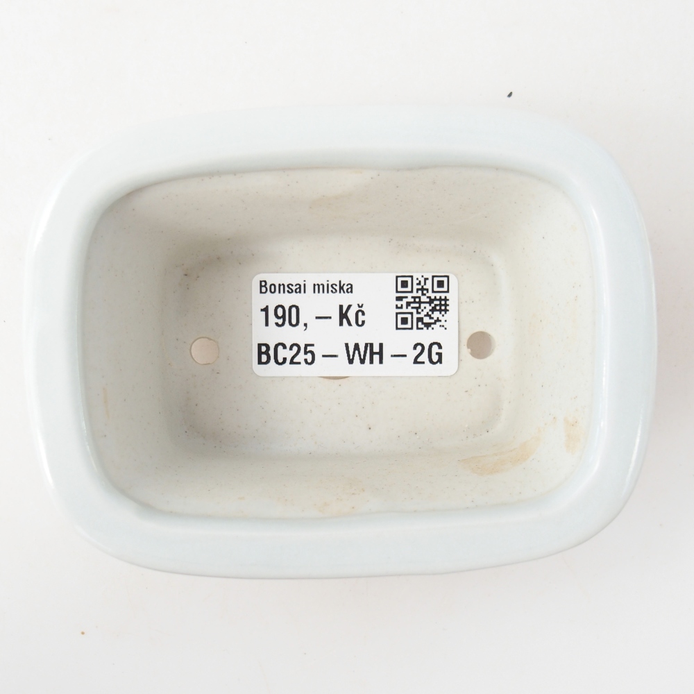 Mini bonsai bowl 10 x 7,5 x 4 cm, colour white
