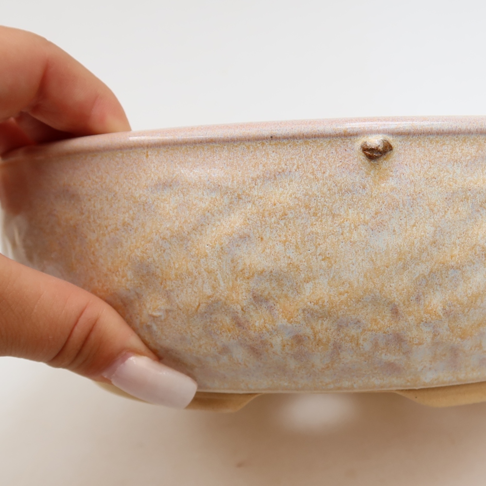 Ceramic bonsai pot, 22.5 x 22.5 x 7 cm, beige