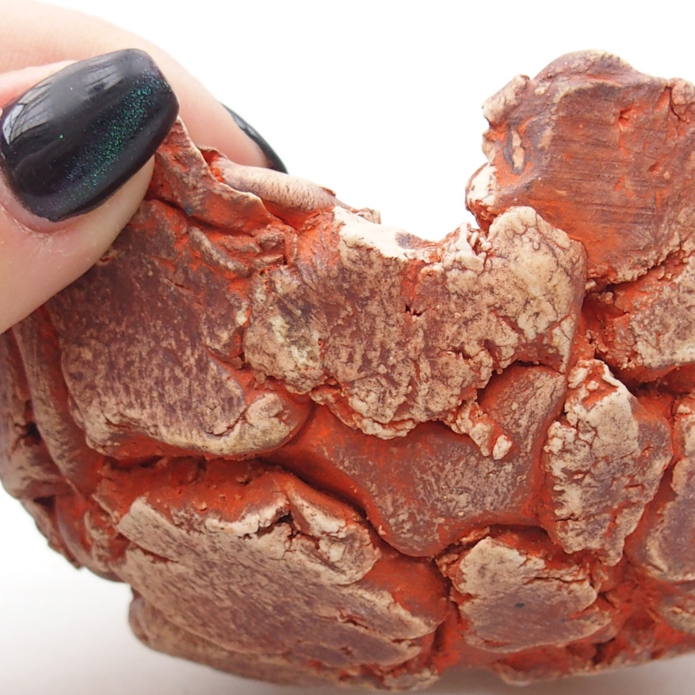 Ceramic Shell 11 x 11 x 6 cm , colour orange