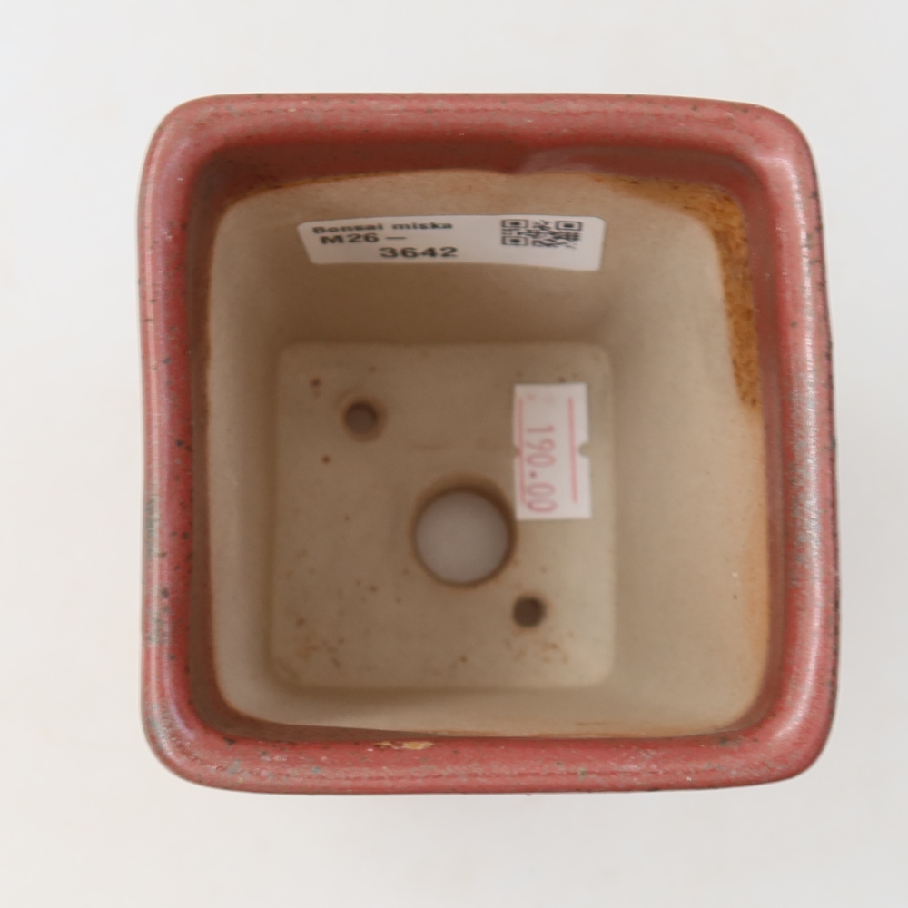 Ceramic bonsai pot, 7.5 x 7.5 x 10.5 cm, pink