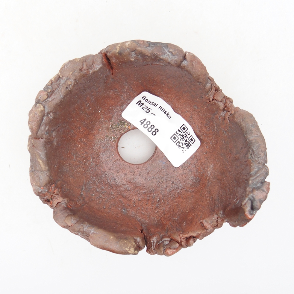 Ceramic shell 10 x 9 x 7 cm, color brown