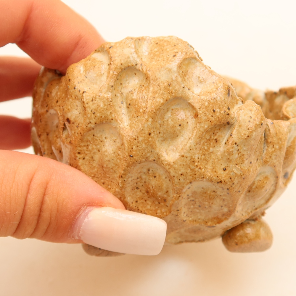 Ceramic Shell 8,5 x 8,5 x 6 cm , colour beige