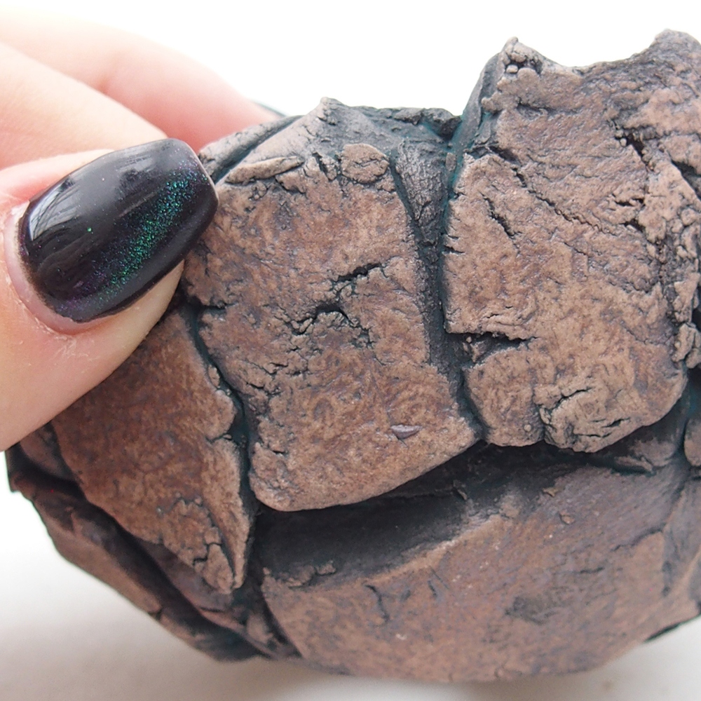 Ceramic Shell 9 x 8,5 x 6 cm , colour green