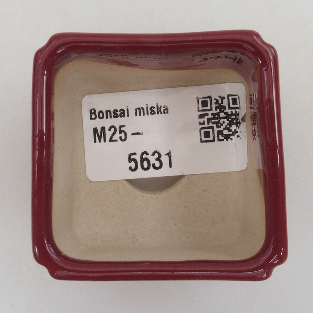 Mini bonsai bowl 4,5 x 4,5 x 3 cm, color burgundy