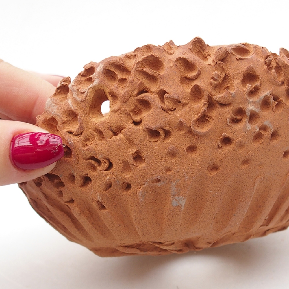 Ceramic Shell 13 x 14 x 7 cm, color: red
