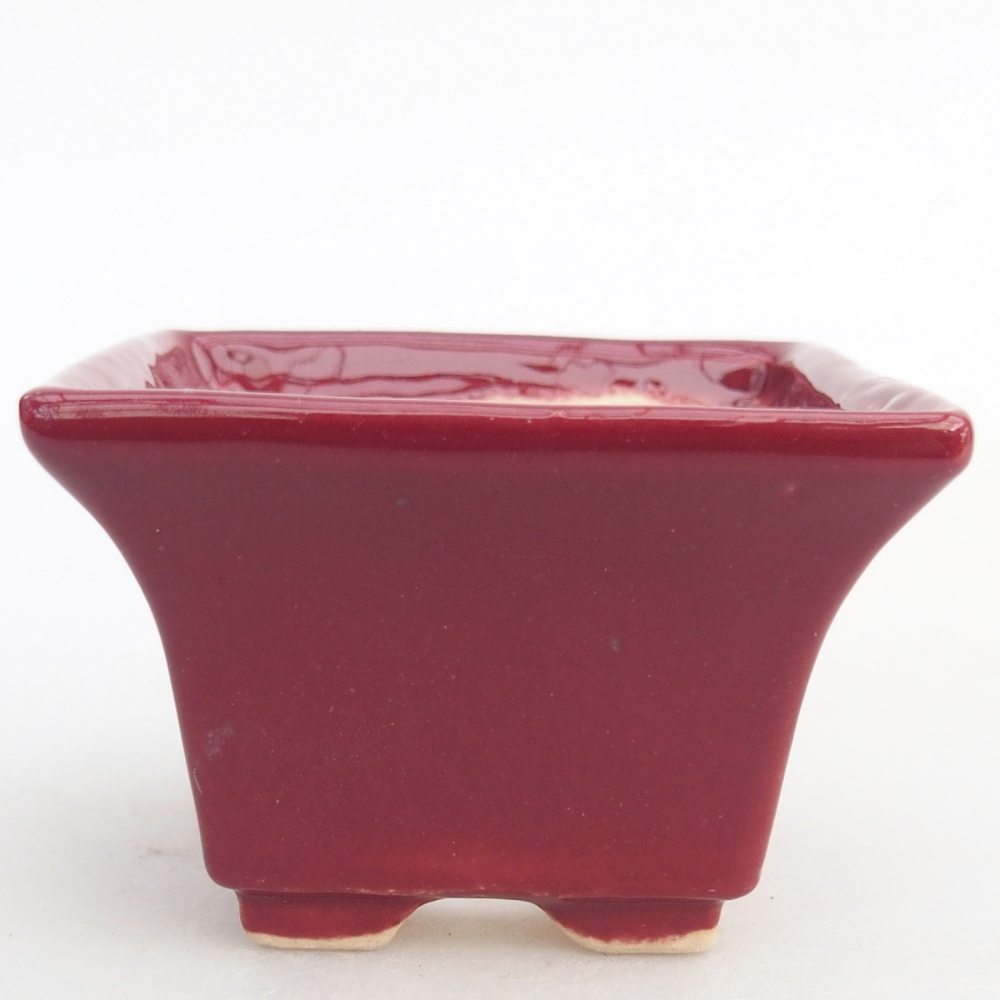 Mini bonsai bowl 5,5 x 5,5 x 4 cm, burgundy