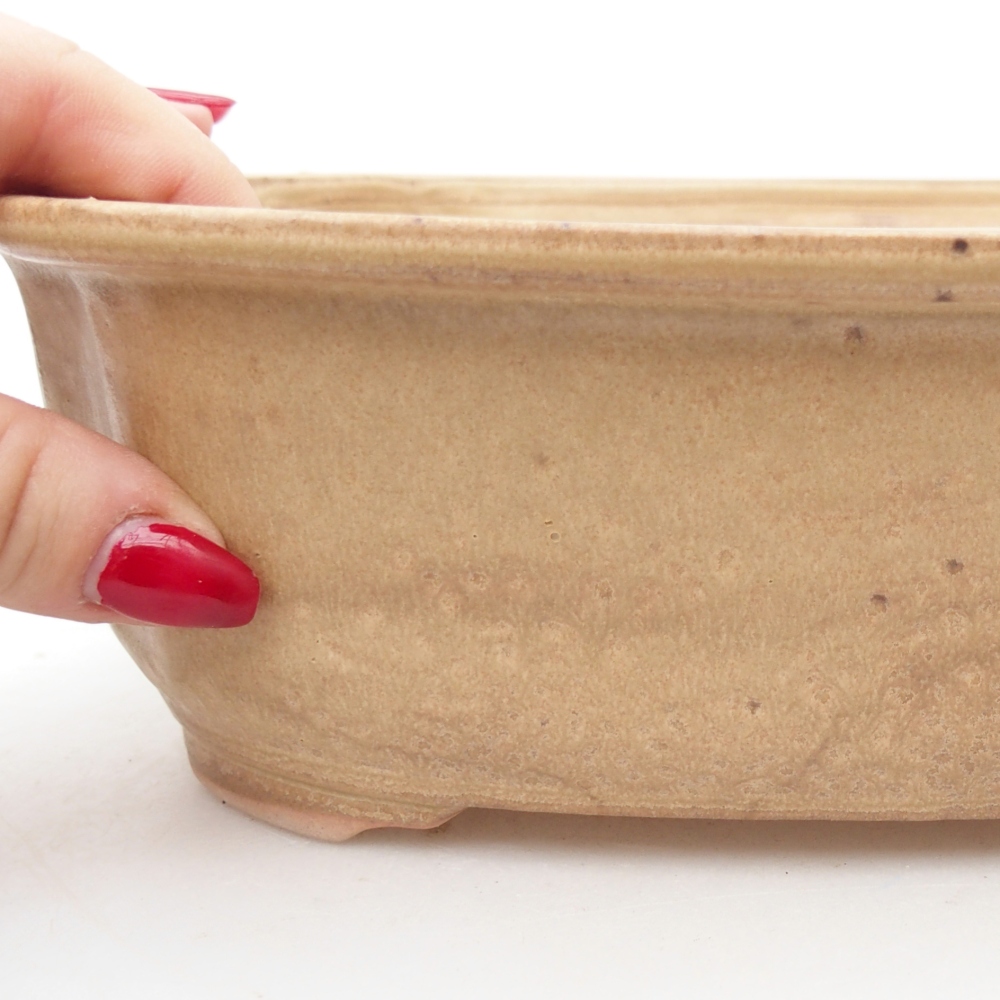 Ceramic bonsai bowl 25 x 21 x 7,5 cm, colour beige